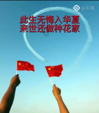逃离金刚鹦鹉森林